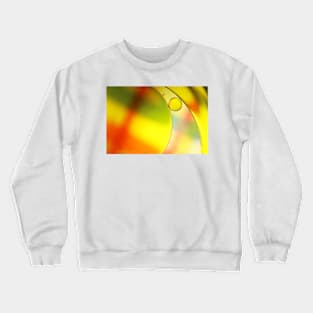 Trapped Crewneck Sweatshirt